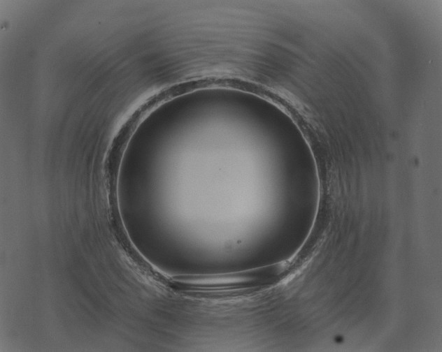 X0000073921118200608181042