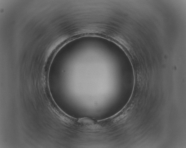 X0000073921119200608181042