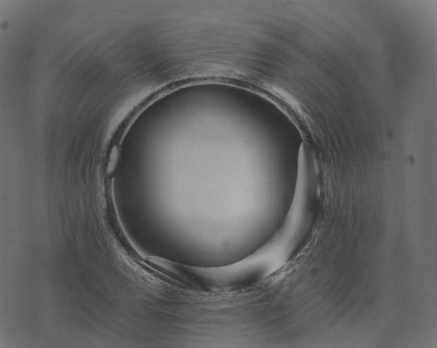 X0000073921120200608181042