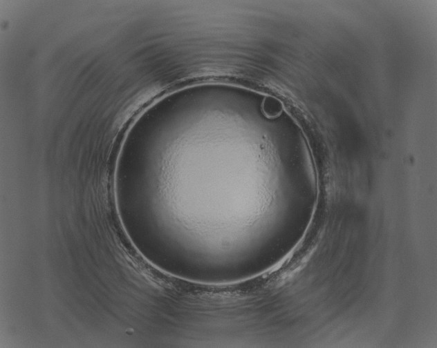 X0000073921121200608181042