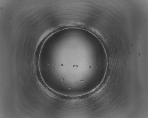 X0000073921122200608181042