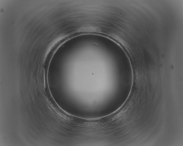 X0000073921123200608181042