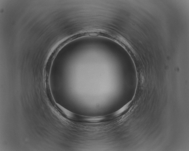 X0000073921124200608181042