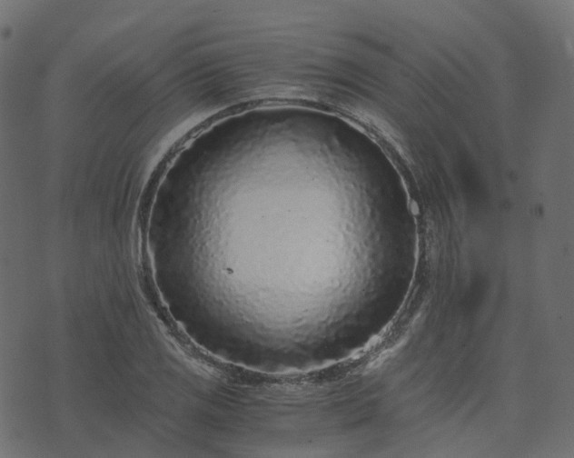 X0000073921125200608181042