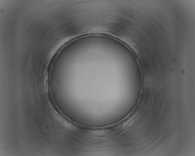 X0000073921126200608181042