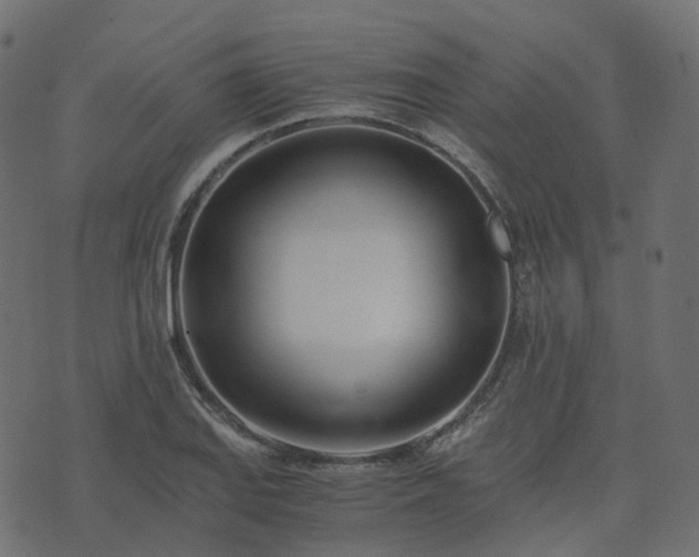 X0000073921127200608181042