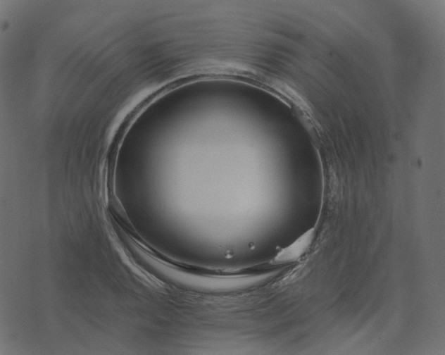 X0000073921128200608181042