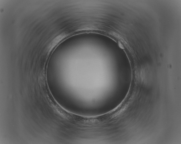 X0000073921129200608181042