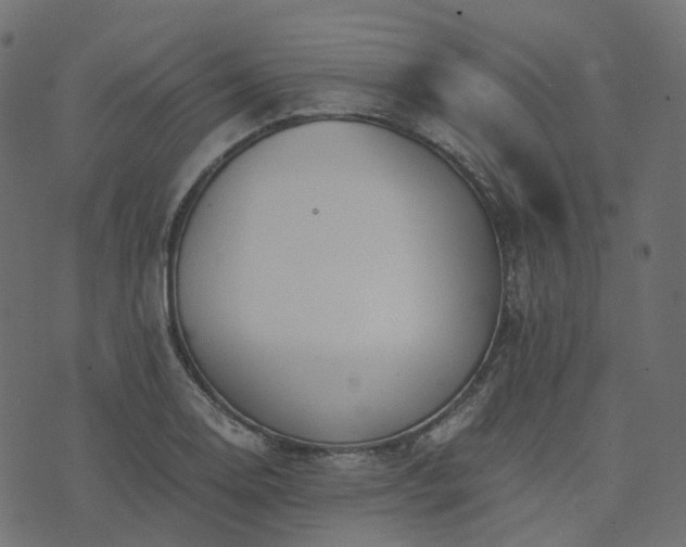 X0000073921130200608181042