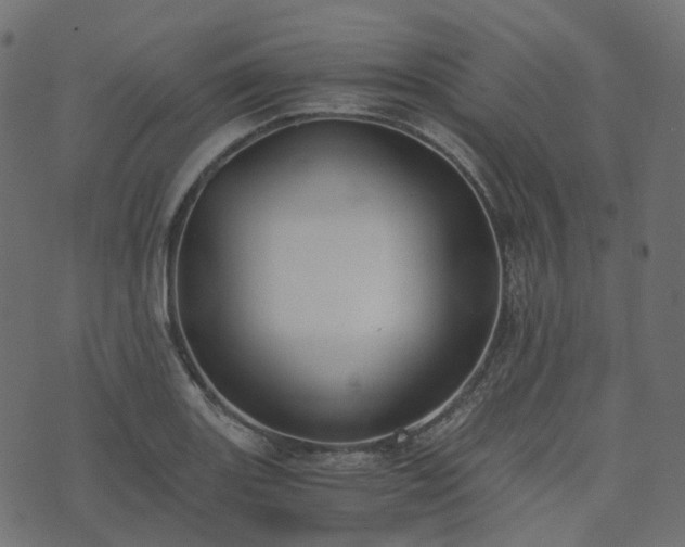 X0000073921131200608181042