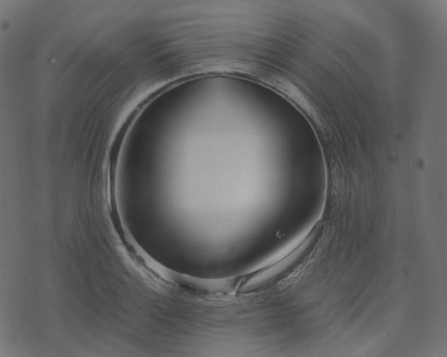 X0000073921132200608181042