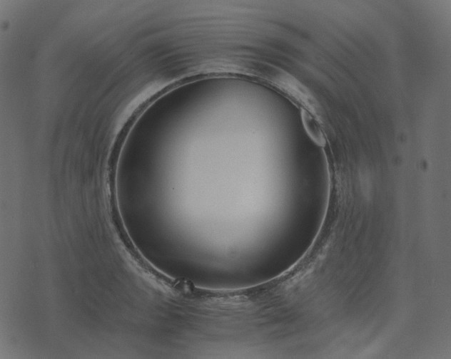 X0000073921133200608181042