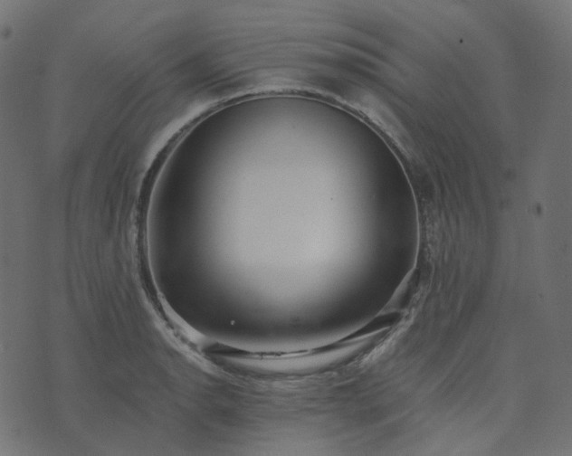 X0000073921134200608181042