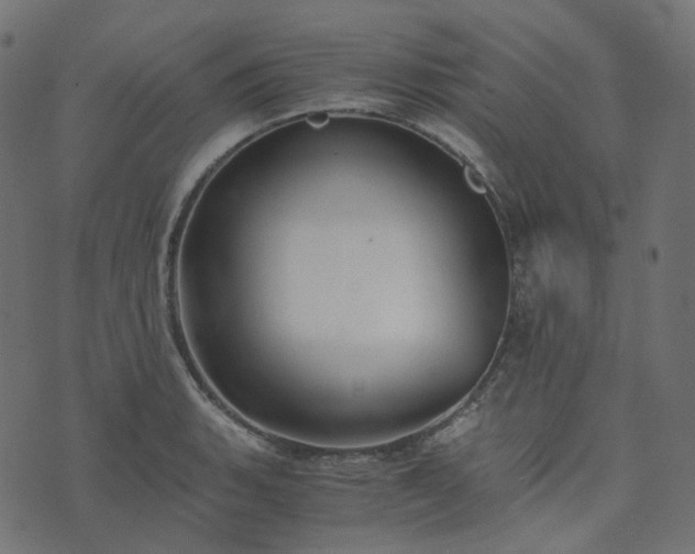 X0000073921135200608181042