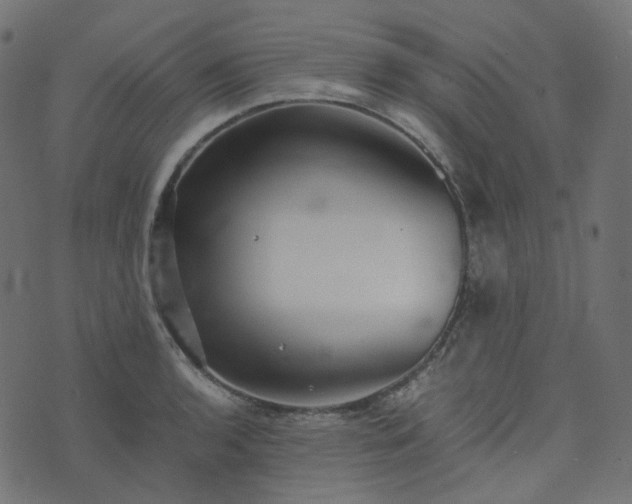 X0000073921136200608181042