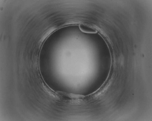 X0000073921137200608181042