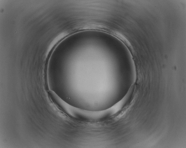 X0000073921138200608181042