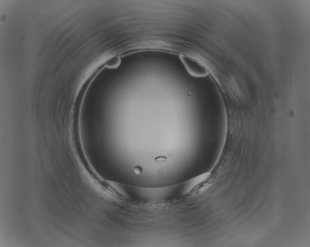 X0000073921139200608181042