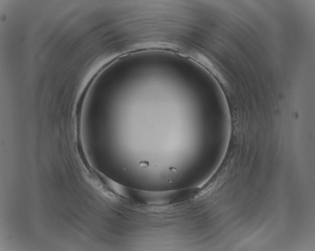 X0000073921140200608181042