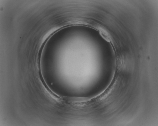 X0000073921141200608181042