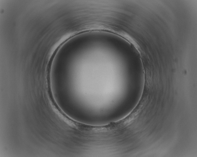 X0000073921142200608181042