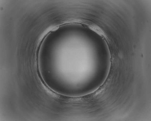 X0000073921143200608181043