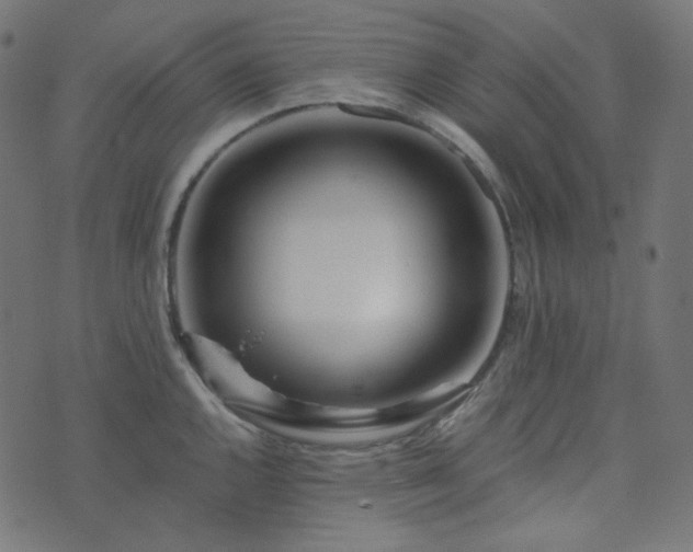 X0000073921144200608181043