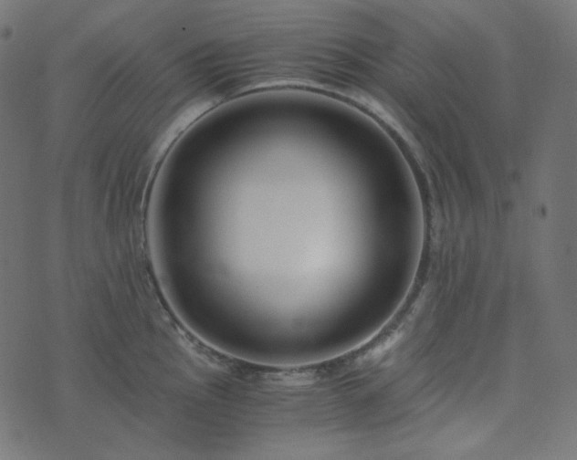 X0000073921145200608181043