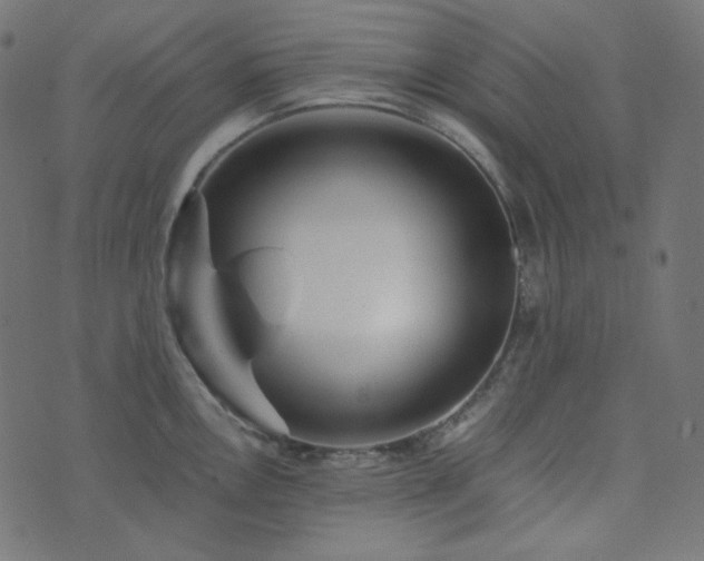 X0000073921146200608181043