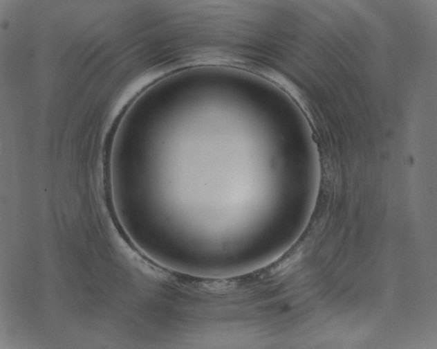 X0000073921147200608181043