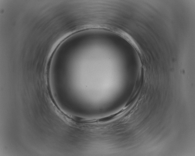 X0000073921148200608181043