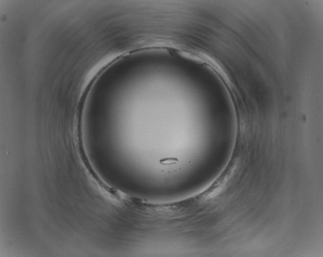 X0000073921149200608181043