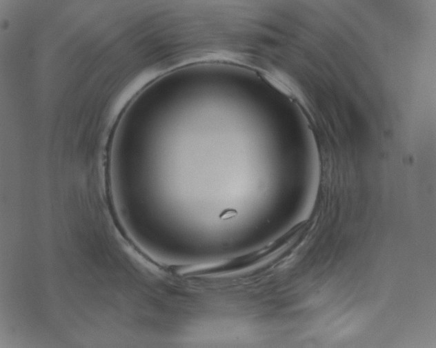 X0000073921151200608181043