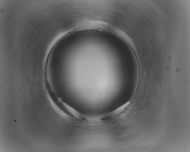 X0000073921152200608181043