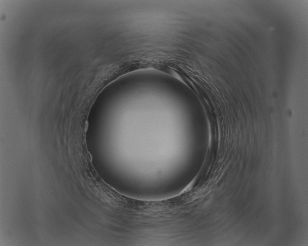 X0000073921153200608181042