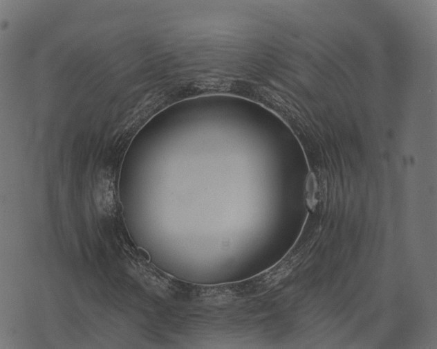 X0000073921154200608181042