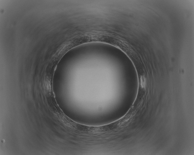 X0000073921155200608181042