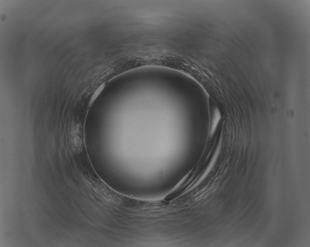 X0000073921156200608181042