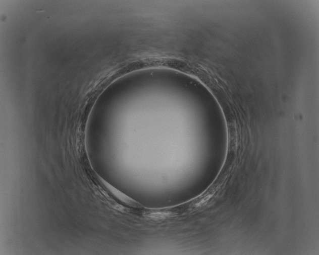 X0000073921157200608181042