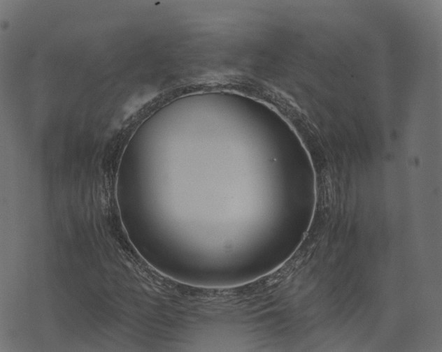 X0000073921158200608181042