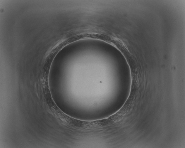 X0000073921159200608181042