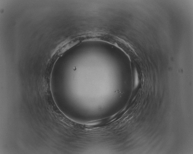 X0000073921160200608181042