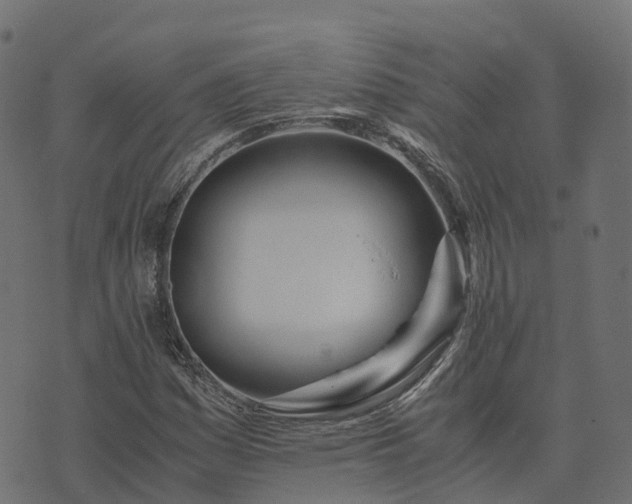 X0000073921161200608181042