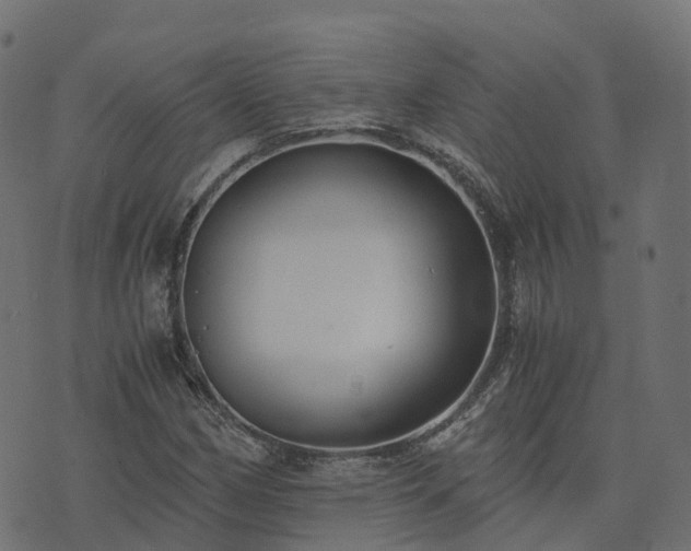 X0000073921162200608181042