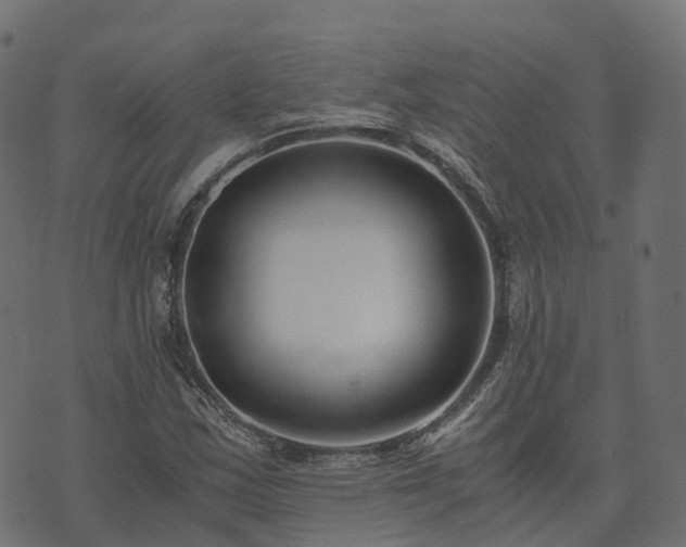 X0000073921163200608181042