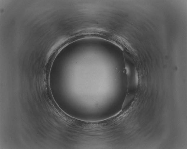 X0000073921164200608181042