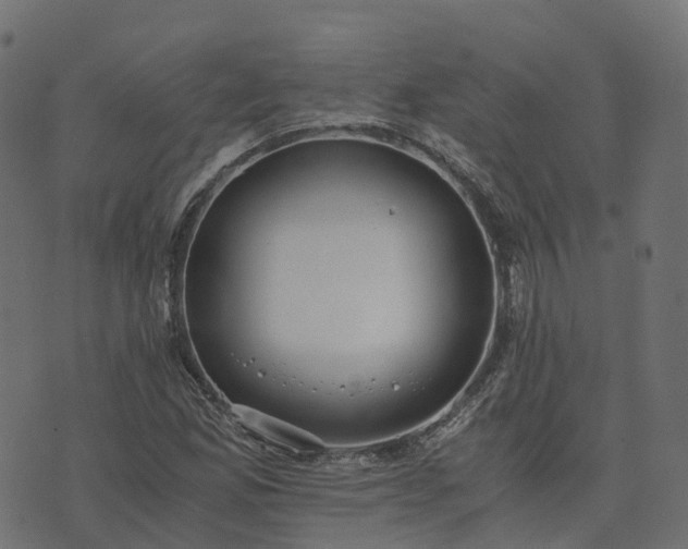 X0000073921165200608181042