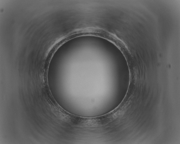 X0000073921166200608181042