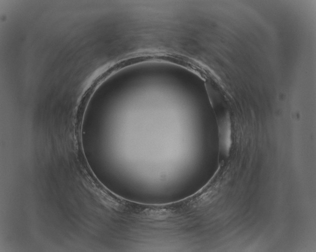 X0000073921168200608181042