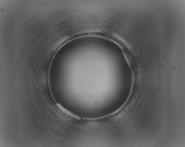 X0000073921169200608181042